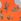Orange Frugi Parsnip Dungaree