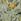 Spring Neutral Fruit Tree 10m Wallpaper