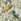 Spring Neutral Fruit Tree 10m Wallpaper
