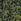 Green Boden Fae Jersey Shirt Dress
