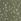 Clarissa Hulse Gypsophila A4 Wallpaper Sample