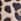 Brown Leopard Print Mint Velvet Ruby Leather Ballet Flat Pumps