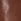 Tan Brown Dune London Turner Knee High Boots