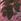 Red Yours Curve London Floral Abstract Mesh Dress