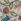 Deyongs Dainty Floral Duvet Cover And Pillowcase Set