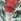 Tis The Season Bath & Body Works Gentle & Clean Foaming Hand Soap 259ml