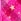 Mrs.Claus Cocktail Bath & Body Works Pocketback Cleansing Hand Gel 29ml