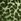 Rockett St George Leopard Love Cut Velvet Fringe Cushion