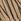 Cream / Navy Stripe 100% Cotton Towelling Dressing Gown