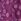 Purple Yumi Sheer Sleeve Appliqué Flower Top