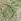 Morris & Co Windrush Floral 180 Thread Count Percale Duvet Cover And Pillowcase Set