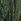 Green Yours Curve London Jacquard Textured Stripe Shirt