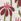 Wylder Ophelia Floral Jacquard Lined Pencil Pleat Curtains