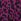 Purple M&co Animal Printed Jumper