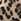 Brown Leopard Sweaty Betty Power Pulse Bra