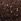 Brown Long Tall Sally Sequin Velvet Cowl Neck Top
