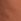 Brown Regular Weird Fish Weston Relaxed Canvas Short