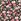 Floral Pink Joe Browns Anna Ditsy Floral V-neck Tunic Top