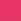 Pink Estella Bartlett Long Card Purse - Hot Pink