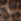 Brown Leopard Print Carvela Mini Cammie Fur Shoulder Bag