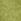 Olive Green Jdy Knitted Button Down Short Cardigan