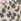 Leopard - Clarks Foxing Canvas joggesko for barn