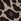 Leopard Print Chantelle Soft Stretch Seamless One Size High Waisted Knickers