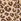 Beige Brown - Pixiegirl Petite Leopard Print Frill Sleeve Midi Dress With Linen