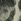 Clarke And Clarke Emma J Shipley Wilderie 10m Wallpaper