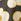 Black Regatta Womens 100% Cotton Orla Kiely T-shirt