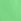 Green Pull-on Shorts (3-16yrs)