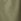 Khaki Green 100% Cotton Textured Woven Pull On Shorts (3-16yrs)