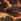Animal - Cizme Chelsea Dune London Obvious Comfort Kitten