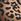 Brown Long Tall Sally Flat Point Mary Jane Shoes