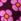 Multi Regatta Orla Kiely Girls Towel Robe