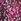 Pink Live Unlimited Curve Multi Abstract Print V-neck Pleat Front Blouse