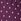 Purple Long Tall Sally Dobby Button Up Shirt