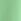 Apple Green Short Sleeve Polo Shirt (3-16yrs)