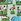 Green Farm Collared 100% Cotton Cath Kidston Romper