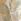 Laurence Llewelyn-bowen Paradise Palm Jacquard Pair Of Eyelet Curtains