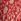 Red Joules Billie Cotton Midi Dress