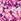 Pink Roman Petite Floral Print Stretch Dress