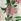Kew Collection Cream And Green/Pink Floral Long Sleeve Pleated Maxi Dress