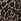 Natural Long Tall Sally Leopard Print Scoop Neck Blouse