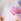 Ecru/Pink Floral Graphic T-shirt And Bloomer Shorts Set (3-16yrs)