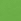 Mid Green T-shirt