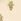 Ivory Plants - Rochie Fatface Midi