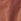 Rust Red Straight Fit Stretch Chinos Shorts