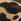 Leopard Print Forever Comfort® Leather Strap Buckle Detail Sandals