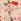Ecru Cherry - ילקוט מצופה שעווה קטן של Cath Kidston